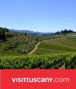 Visittuscany.com, come scoprire la Toscana con facilità