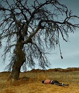 "L'albero dei frutti selvatici", il film di Nuri Bilge Ceylan allo Spazio Alfieri